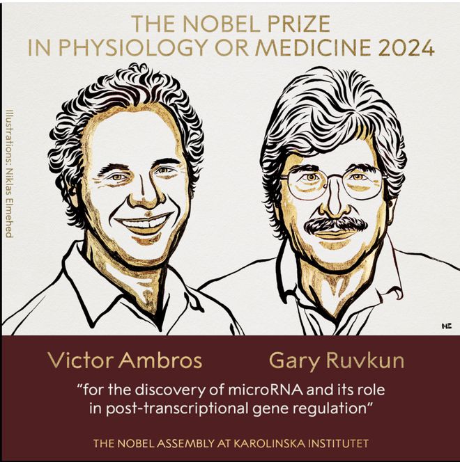 24中国国际孔子文化节圆满闭幕;国庆档总票房破21亿麻将胡了齐鲁早报丨中方车辆遭恐袭外交部要求彻查;20(图2) 24中国国际孔子文化节圆满闭幕;国庆档总票房破21亿麻将胡了齐鲁早报丨中方车辆遭恐袭外交部要求彻查;20(图2)