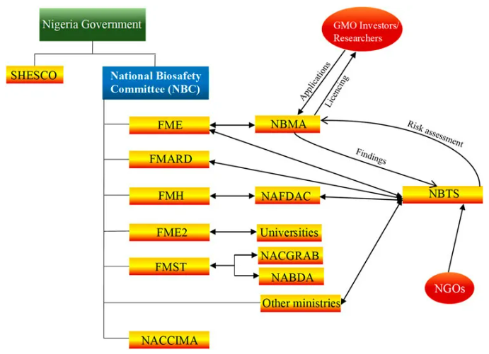 粮食安全的关键?尼日利亚的实践与前景麻将胡了app生物技术如何成为非洲(图3) 粮食安全的关键?尼日利亚的实践与前景麻将胡了app生物技术如何成为非洲(图3)