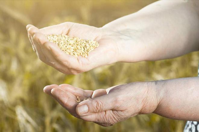 没钱也要吃3样忌3事建议记得麻将胡了模拟器试玩大年初八有(图3)