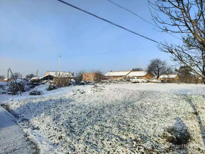 吉日”切记:1不出3要吃5不做麻将胡了app今年小寒当天“(图3) 吉日”切记:1不出3要吃5不做麻将胡了app今年小寒当天“(图3)