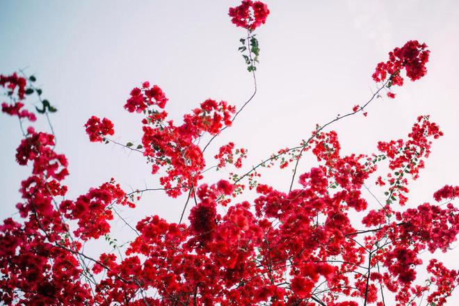 规则：做到了这两点就可以相安无事麻将胡了试玩过年期间婆媳相处潜(图1)