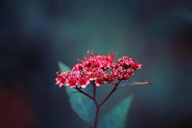 规则：做到了这两点就可以相安无事麻将胡了试玩过年期间婆媳相处潜(图2)