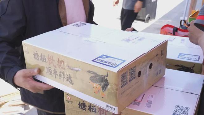 ！买塘栖枇杷摘塘栖枇杷吃喽！麻将胡了app最新最全攻略(图2)