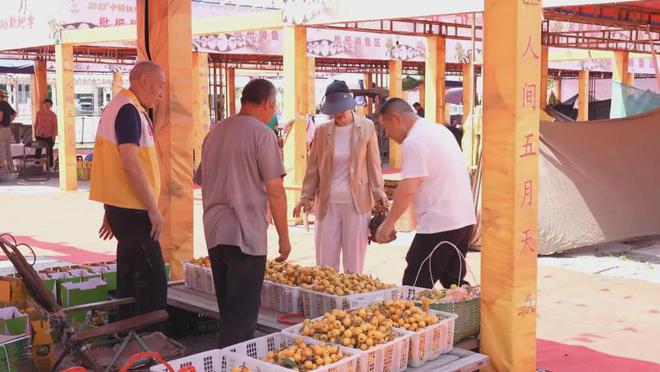 !买塘栖枇杷摘塘栖枇杷吃喽!麻将胡了app最新最全攻略(图5) !买塘栖枇杷摘塘栖枇杷吃喽!麻将胡了app最新最全攻略(图5)