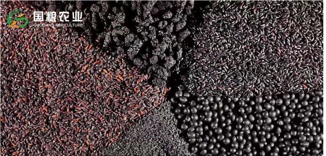 色杂粮粉：传统与现代的完美融合麻将胡了模拟器试玩国粮农业黑(图4)