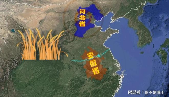 分布在哪？河南为何能喂饱半个中国麻将胡了2模拟器中国小麦种植区(图3)