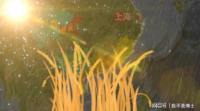分布在哪？河南为何能喂饱半个中国麻将胡了2模拟器中国小麦种植区(图2)