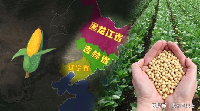 分布在哪？河南为何能喂饱半个中国麻将胡了2模拟器中国小麦种植区(图5)